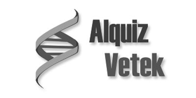 estudio creativo | ALQUIZ VETEK