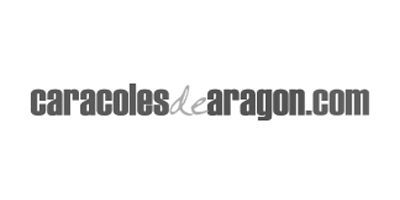 estudio creativo | CARACOLES ARAGON