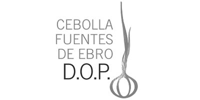 estudio creativo | Cebolla Fuentes