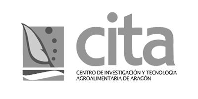 estudio creativo | CITA